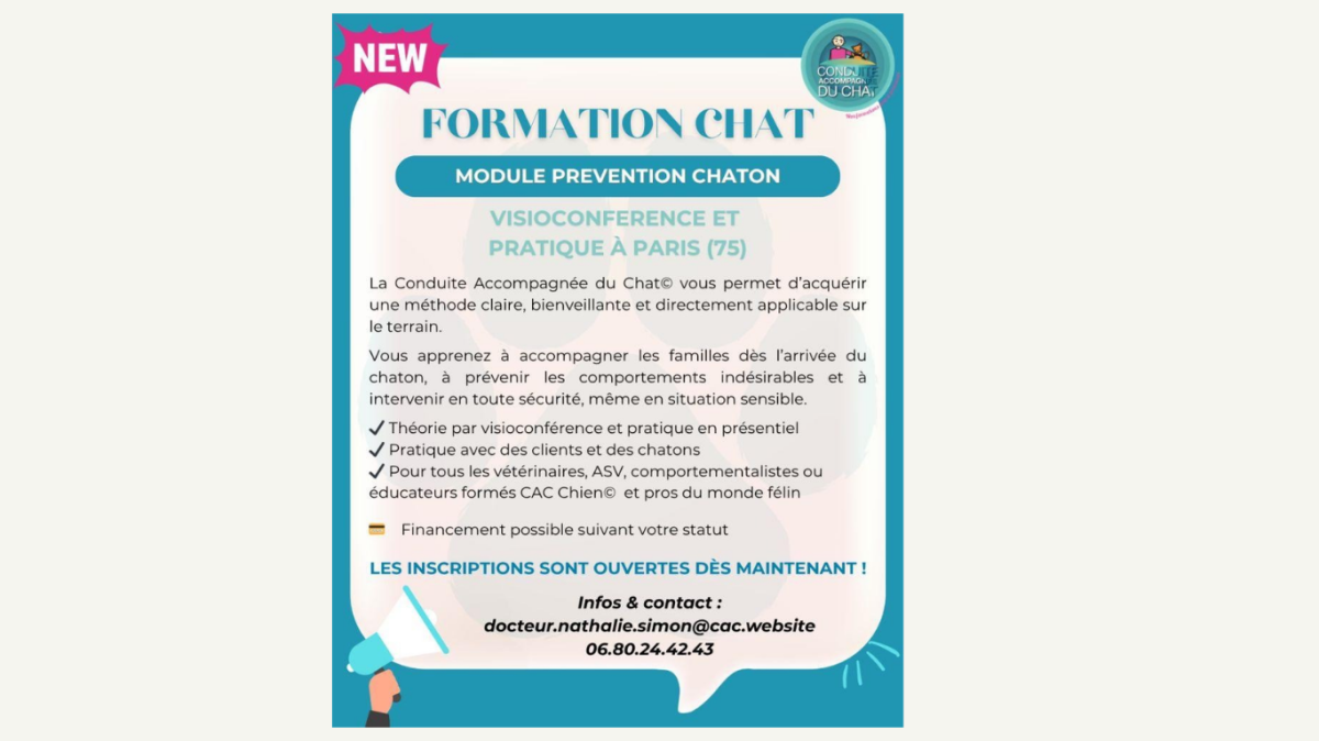  FORMATION EN CONDUITE ACCOMPAGNEE DU CHAT© 