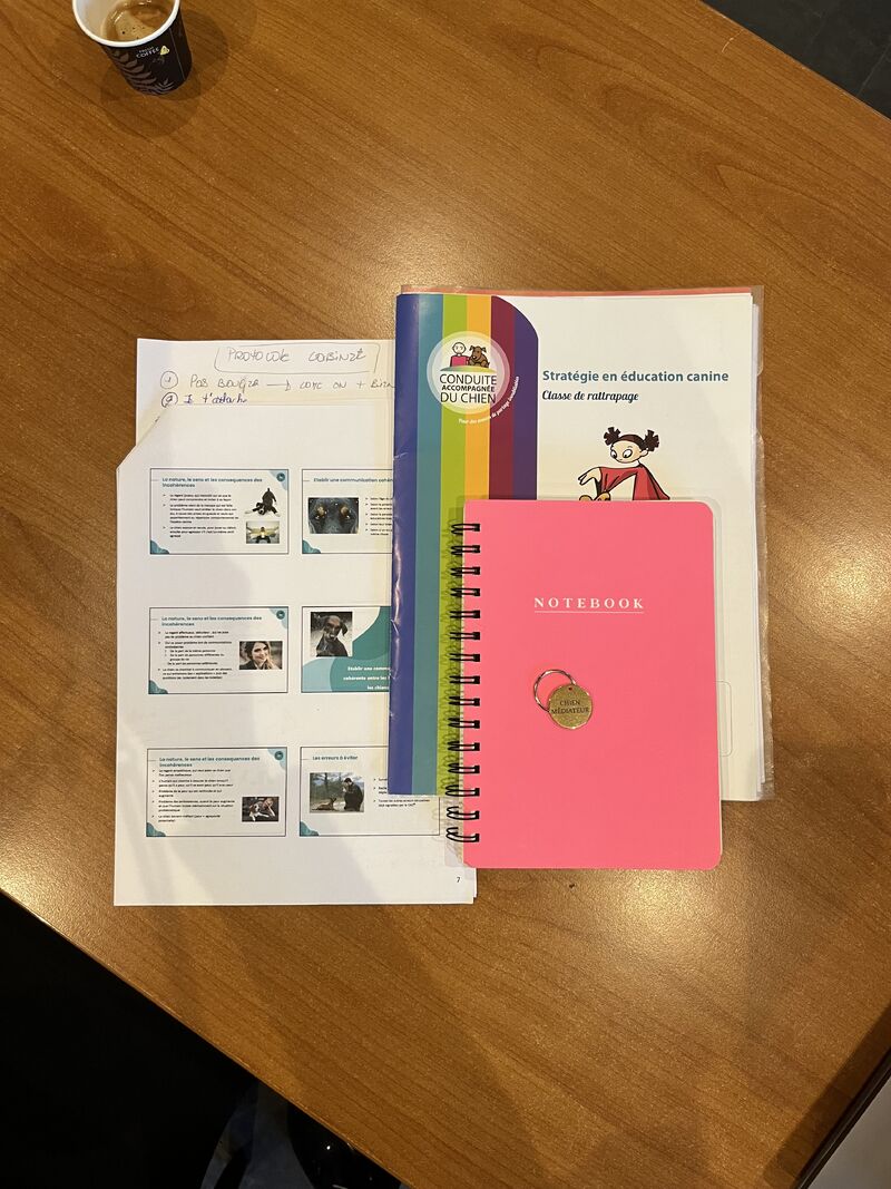 AGATE des chiens médiateurs et des avocates