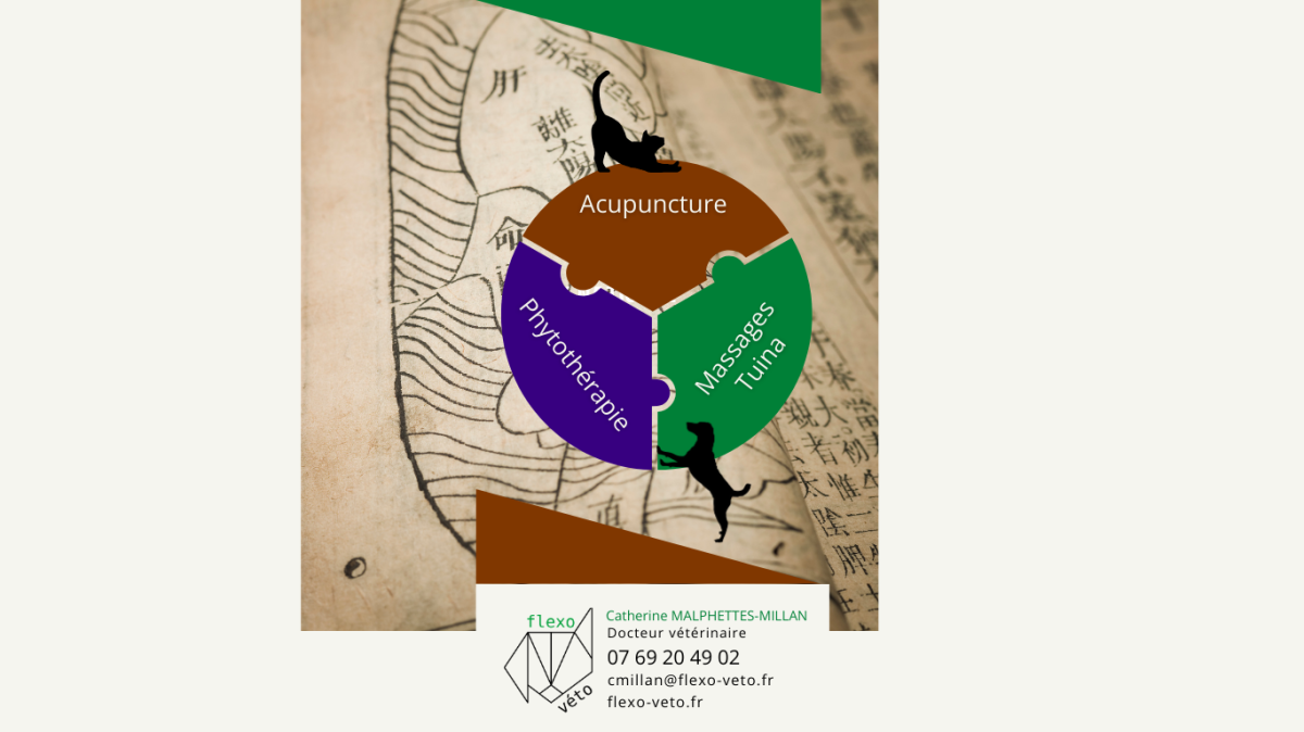 NOUVEAU : Acupuncture et Comportement